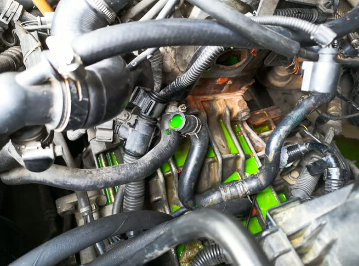 Technician diagnosing a coolant leak on a vehicle engine
