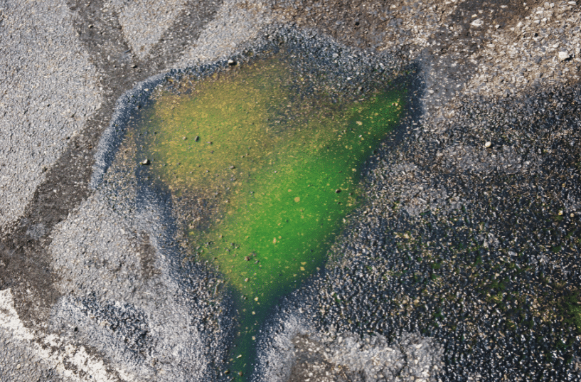 How Much Does A Coolant Leak Repair Cost?